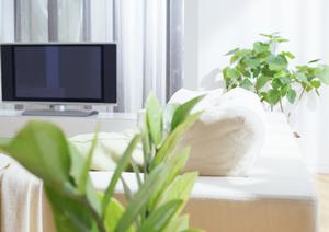 外壁塗装のプロが解説!長岡市で選ぶべき信頼できる業者のポイント【必見】