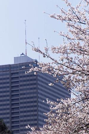 新築一戸建ての販売情報を素早くキャッチ