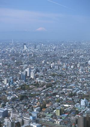 福山市で不動産を探す時に役立つ