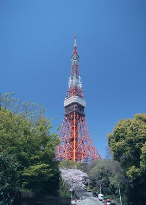 埼玉の足場組立業者を徹底比較!信頼と安全性を兼ね備えた選び方ガイド